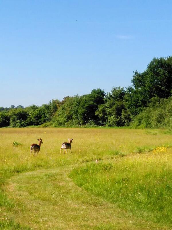 The nature trail at Arrow Bank is perfect just for this.