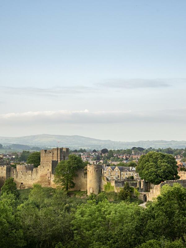 Ludlow Town from Whitcliffe Common