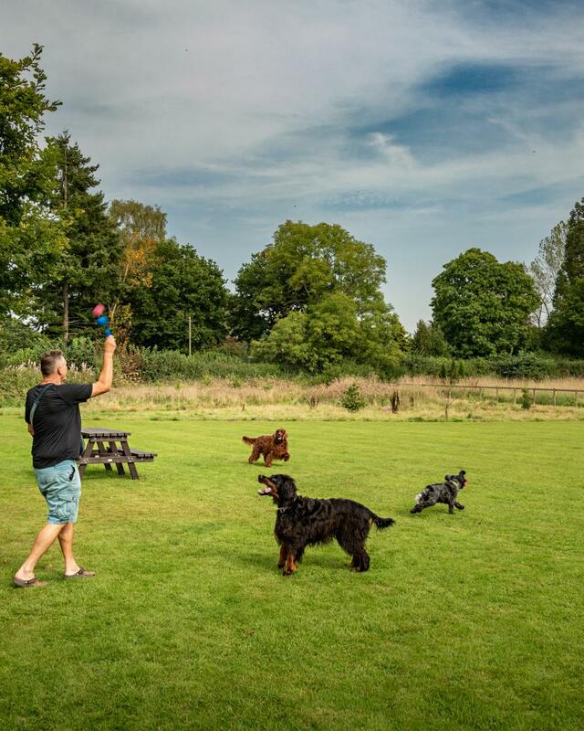5 star dog friendly holiday caravan park luxury holiday lodges Herefordshire