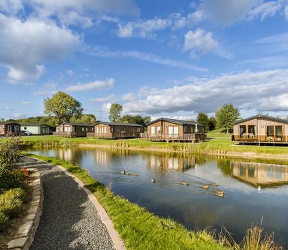 Holiday homes at Arrow Bank