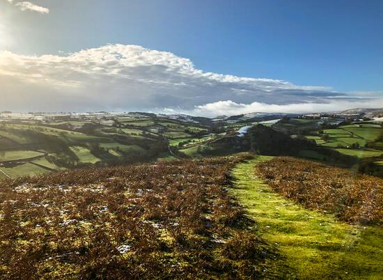 Walking on Hergest Ridge, Kington