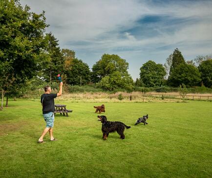Dog friendly caravan park at Arrow Bank, Herefordshire