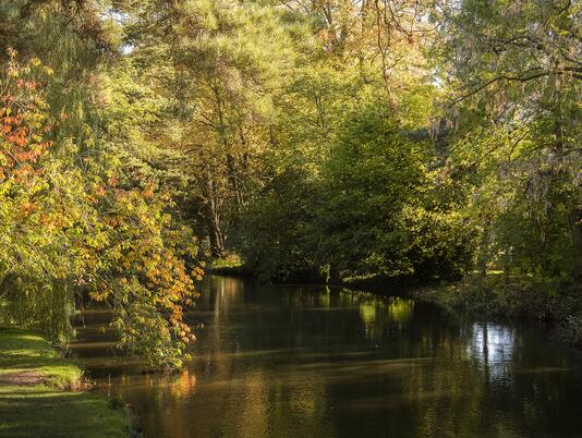 Autumn colours on the River Arrow, Herefordshire