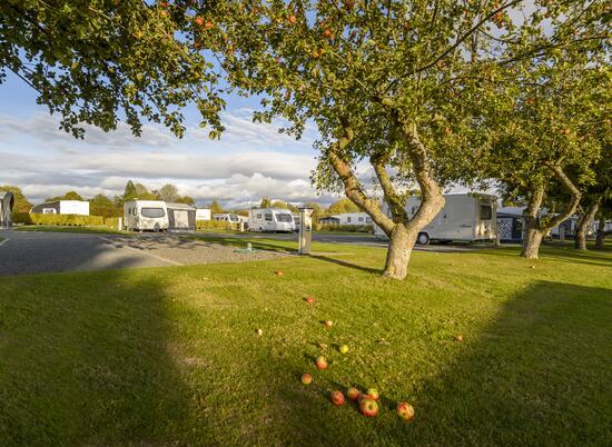 5 star touring site herefordshire