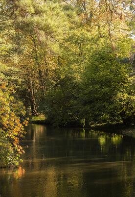 Autumn colours on the River Arrow, Herefordshire