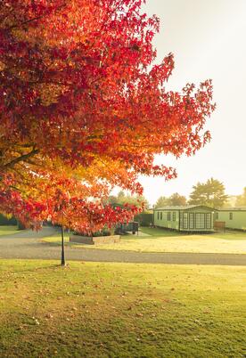 5 star holiday park Herefordshire Arrow Bank