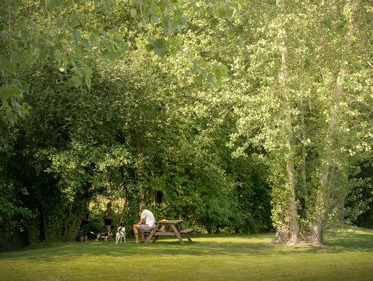 Riverside holiday park in Herefordshire