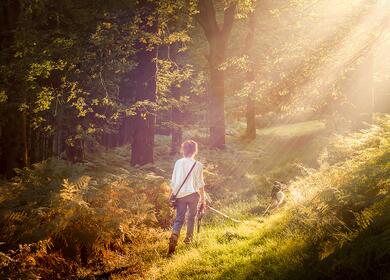 Woodland walks in North Herefordshire and Welsh Borders photo