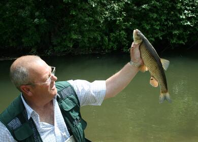 River Arrow fishing 5 star caravan park.