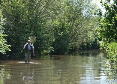 River Arrow fishing 5 star caravan park.