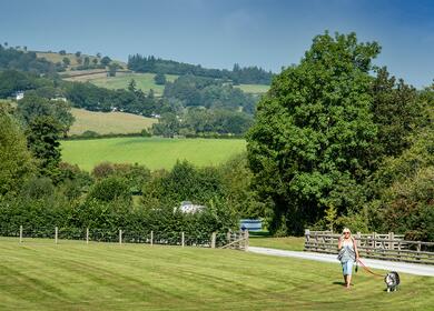 Dog friendly holiday park walking in wide open spaces