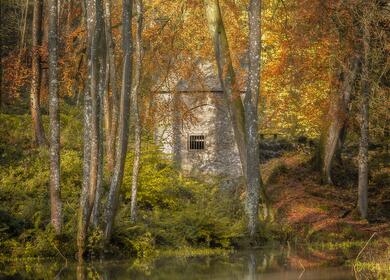 Fish Pool Valley, Croft castle, Herefordshire photo