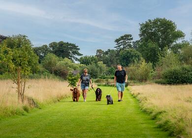 dog friendly caravan site in Eardisland, Herefordshire, England