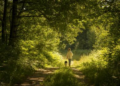 dog friendly caravan site in Herefordshire, England