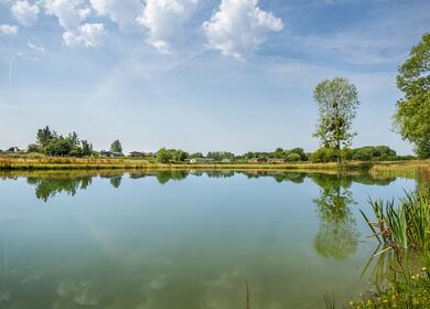 Lake fishing at Arrow Bank Country Holiday Park