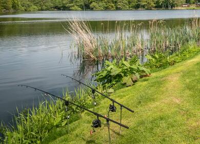 fishing at Pearl Lake Holiday park