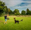 Dog friendly holiday parks